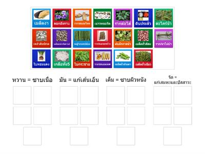 ตัวยา 9 รส + รูป (2.2)