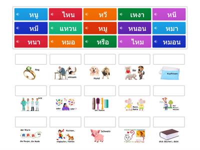 Sonderthema 4_คำศัพท์ (เสียง)