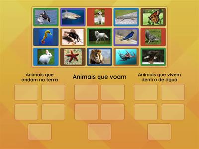 Animais que andam na terra, animais que voam e animais que vivem água