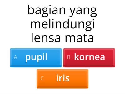 LATIHAN IPAS INDRA PENGLIHATAN 