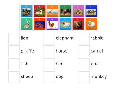 animals ( kg2)