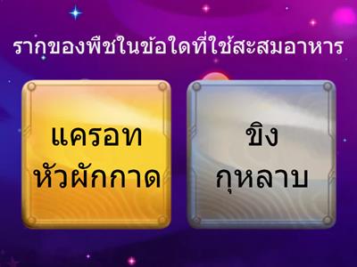 วิทย์ ป4 พืช ตอนที่20