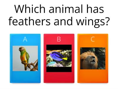 animals classification