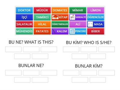 BU NE? - BUNLAR NE? - BU KİM? - BUNLAR KİM?