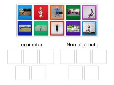 Locomotor and Non-locomotor Activities