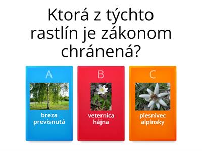 Prírodné spoločenstvá, chránené rastliny a živočíchy