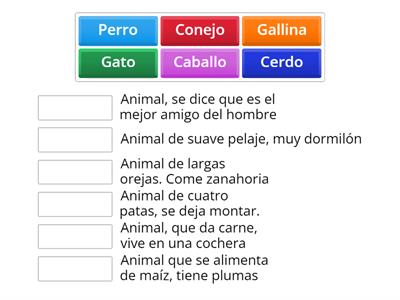 Animales domésticos