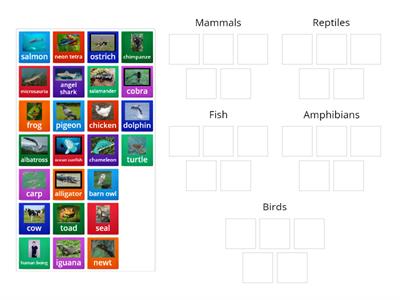  Classifying vertebrates Year 6