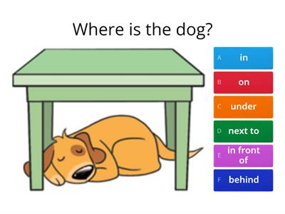  Prepositions - in on under next to in front of