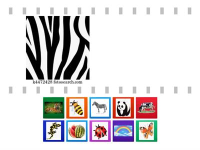 3°-4° Atención y  Percepción visual con animales y objetos (Competencias: CAA y AP)