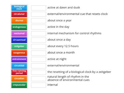 Biorhythms