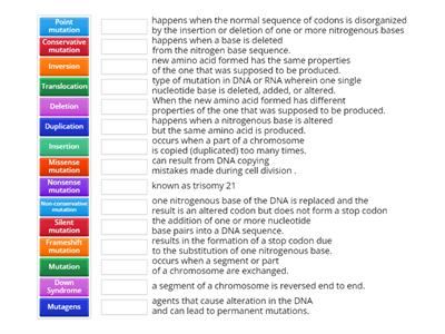 QUIZ IN MUTATION