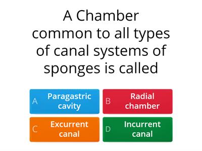 Exit Slip_Porifera(19/7/21)