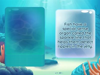 Fish Facts 1