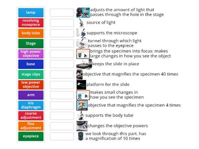 Parts of the Microscope