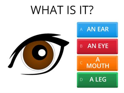 FACE PARTS - QUIZ