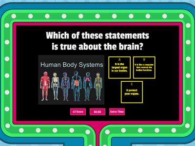 Major Organs of the human body.