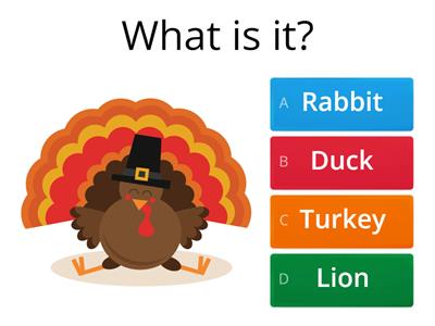 Thanksgiving quiz