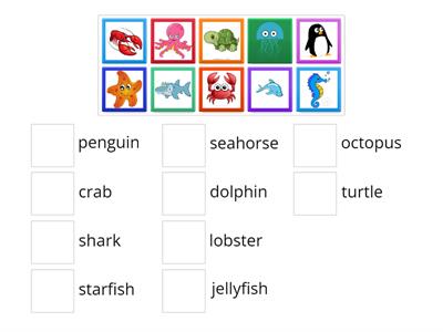 10 Sea animals match up
