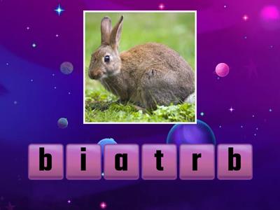 Rabbit Words