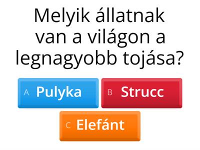 Állati kvíz