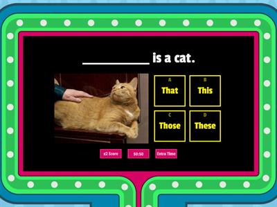 Demonstrative Pronouns