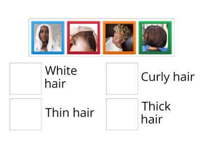LZT - Hair types