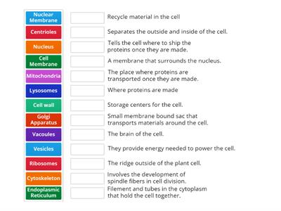 Organelles