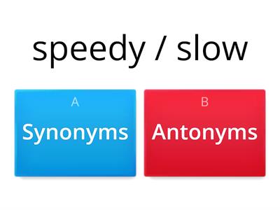 Synonym/Antonym Identification