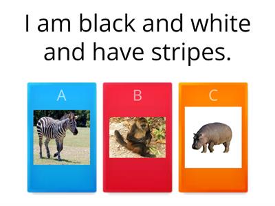  Animal Quiz