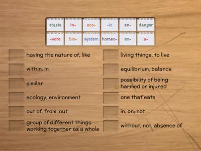 Prefixes, Suffixes, & Roots