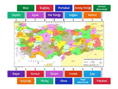 Türkiye'nin  Önemli Tarım Ürünlerinin Yetiştirildiği Şehirler