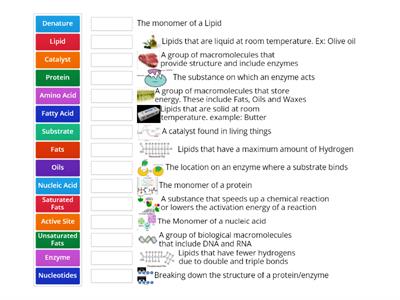 Protein/Lipid/Nucleic Acid Vocabulary