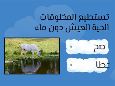 مسابقة الماء على الأرض 