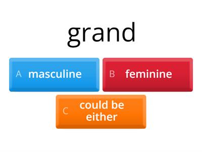 Y7 French NCELP Adjectives & Gender