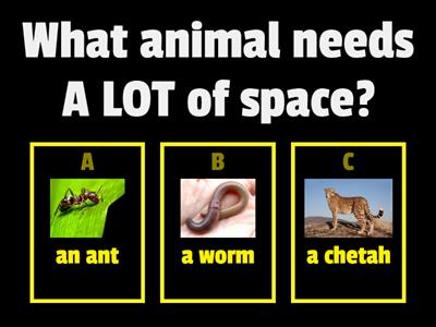 Animal Needs (CLASSWORK) - 5.3
