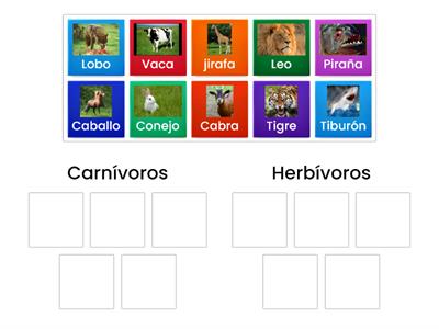 Carnívoros y herbivoros