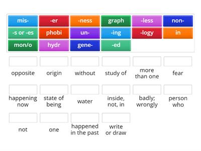 Morphology Review: T3