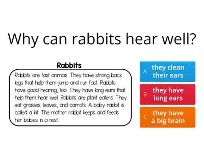 Rabbits (Reading Comprehension shorts)
