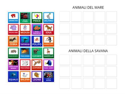 Categorizzazione ANIMALI DEL MARE - DELLA SAVANA