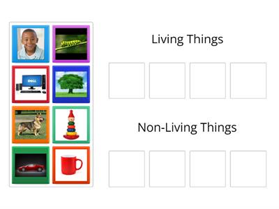 Living and Non-Living Things