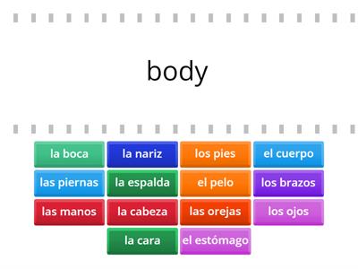 Partes del cuerpo - español y inglés (1)