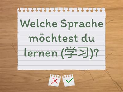 A1 E3 über Sprachen sprechen