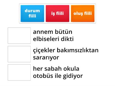 türkçe fiiller 7. sınıf
