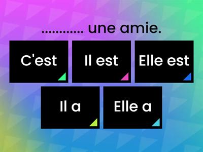 C'est/Il est/Elle est/Il a/Elle a/LMAC