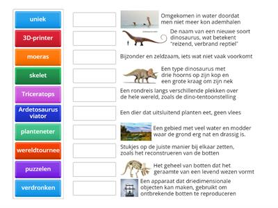 NB tekst A - Dino's - woordenschat #Meester Max