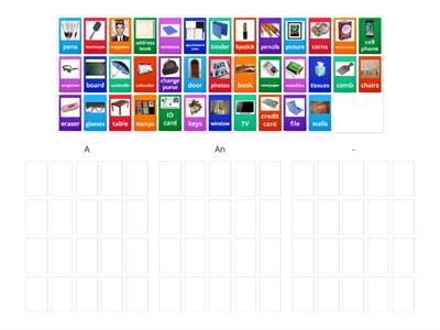 Common Objects - Singular & Plural (A/An/-)