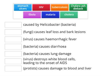 Edexcel - ﻿Describe some common infections (disease name given)