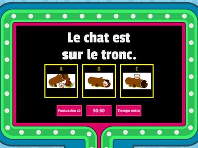 Où est le chat? - Concours