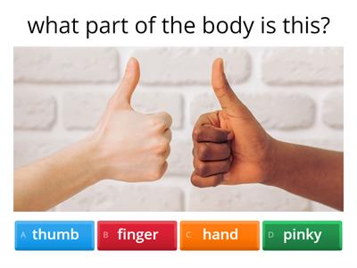 body quiz esl